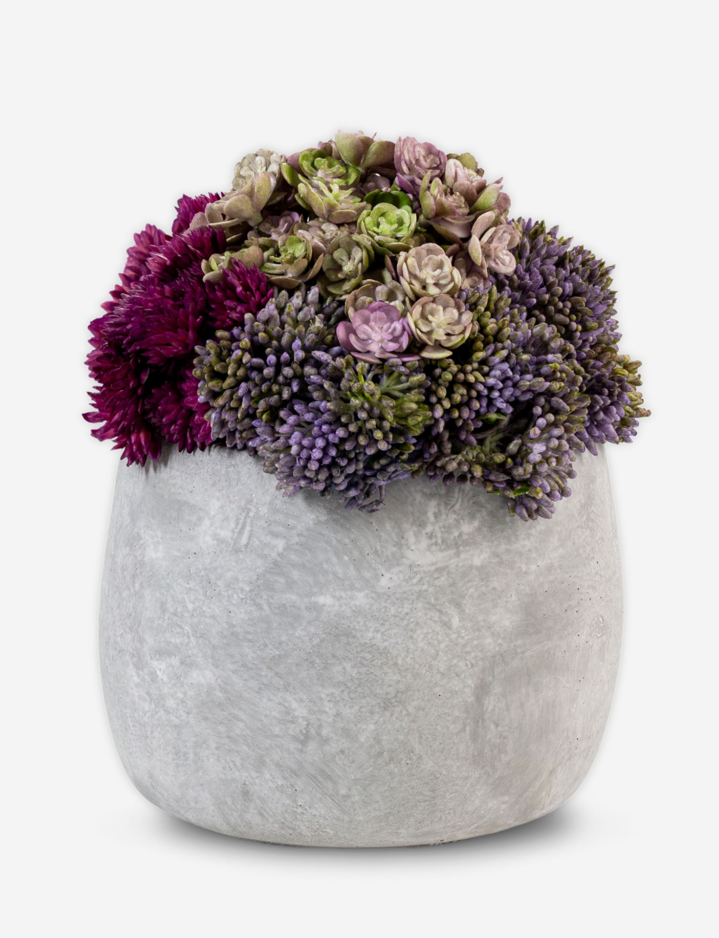 Bailey Cement Sedum Arrangement