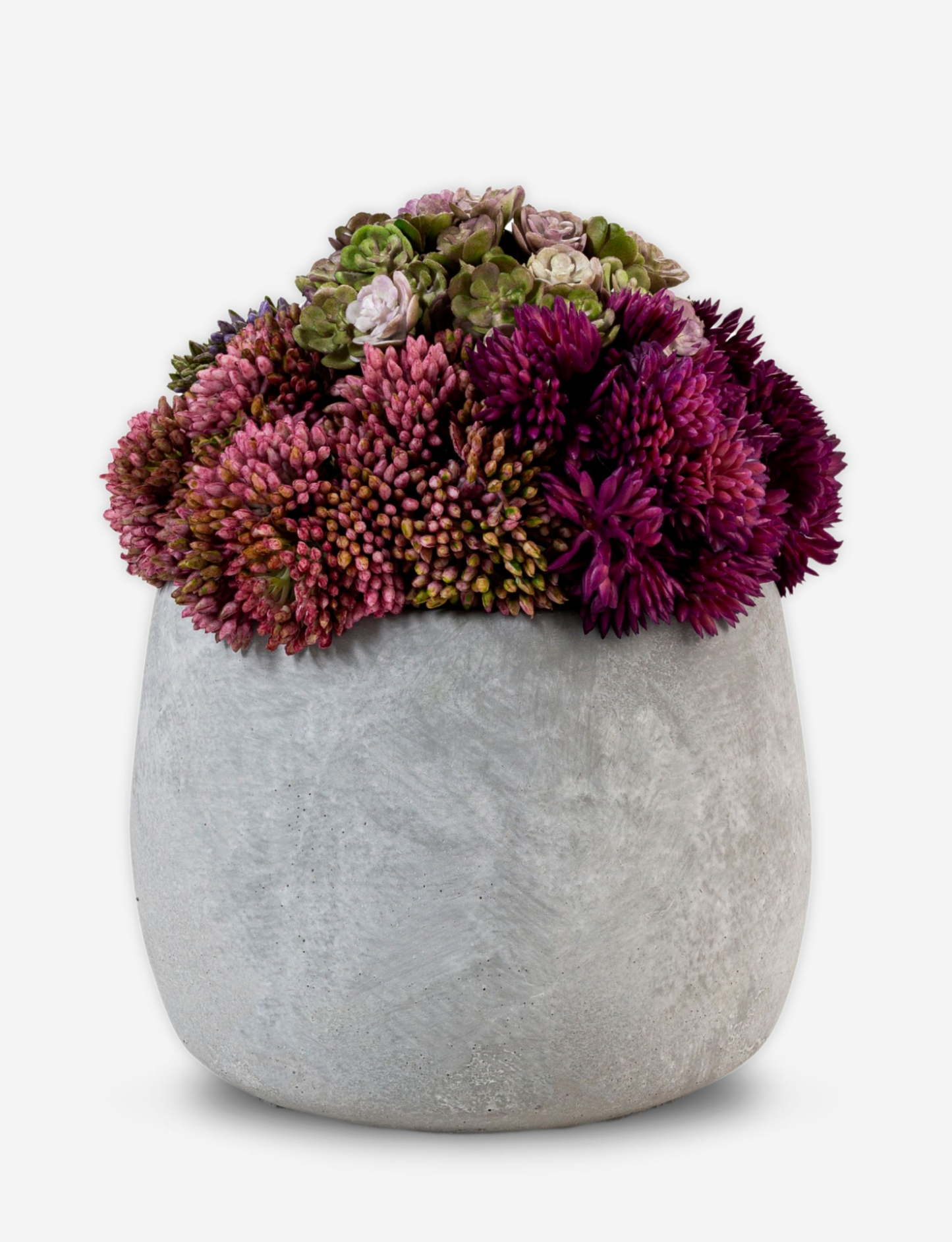 Bailey Cement Sedum Arrangement