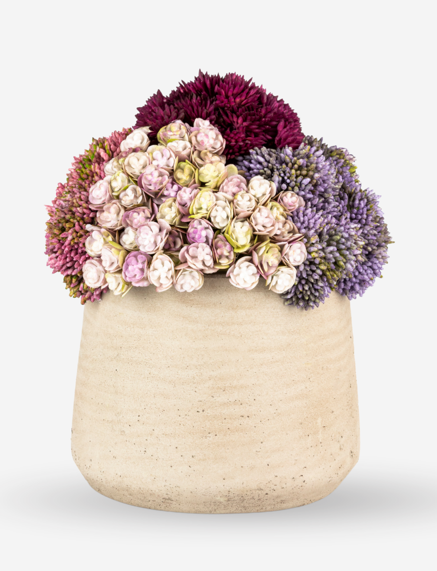 Neriah Mini Sedum Arrangement