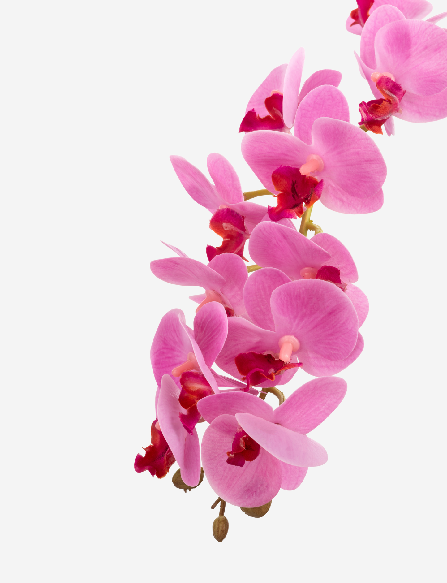 Wesley RealTouch Cement Orchid