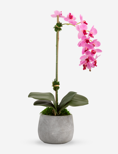 Wesley RealTouch Cement Orchid