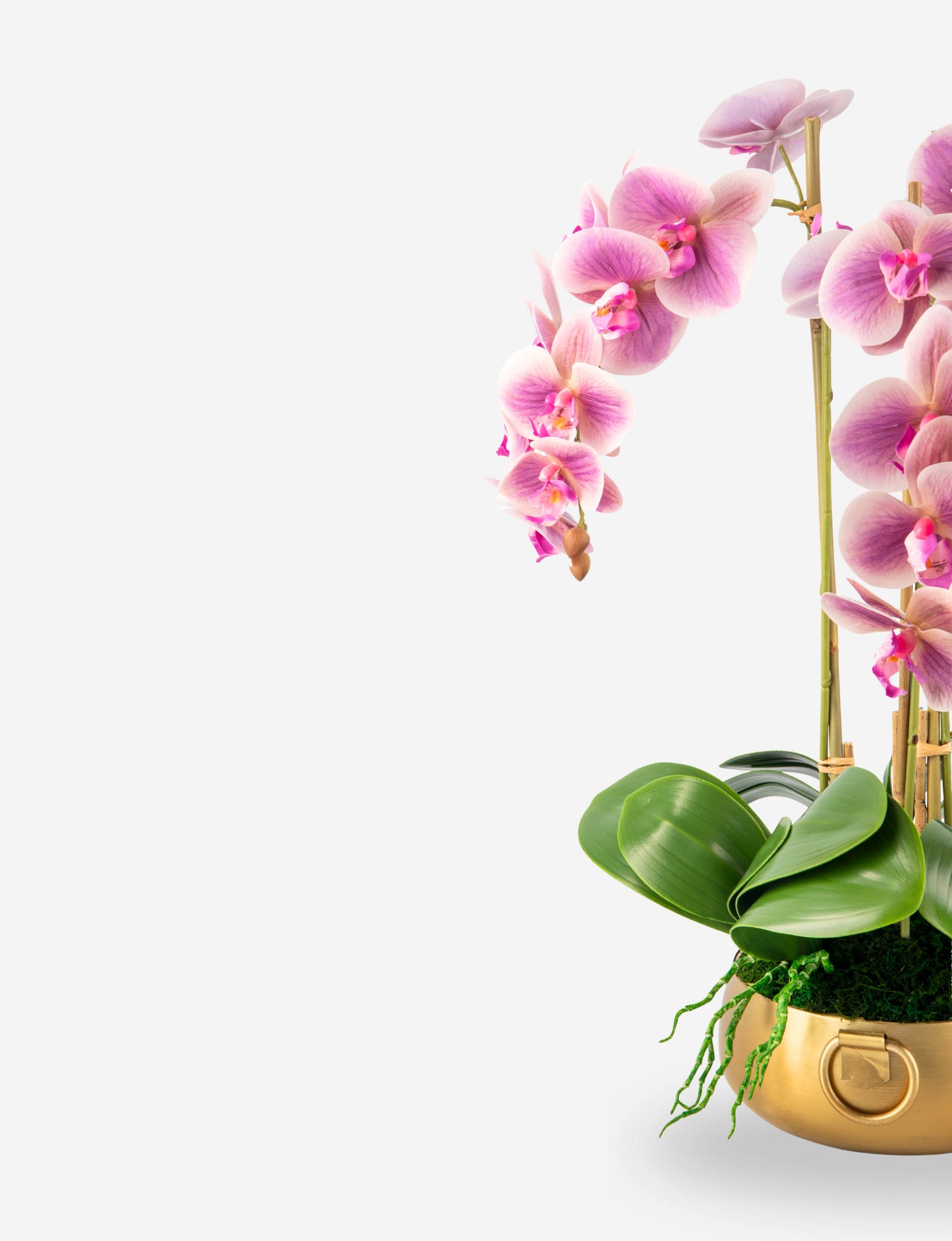 Wynn RealTouch Orchid Arrangement