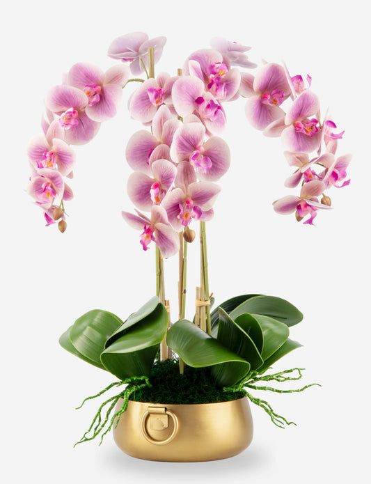 Wynn RealTouch Orchid Arrangement