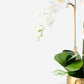 Wynn RealTouch Orchid Arrangement