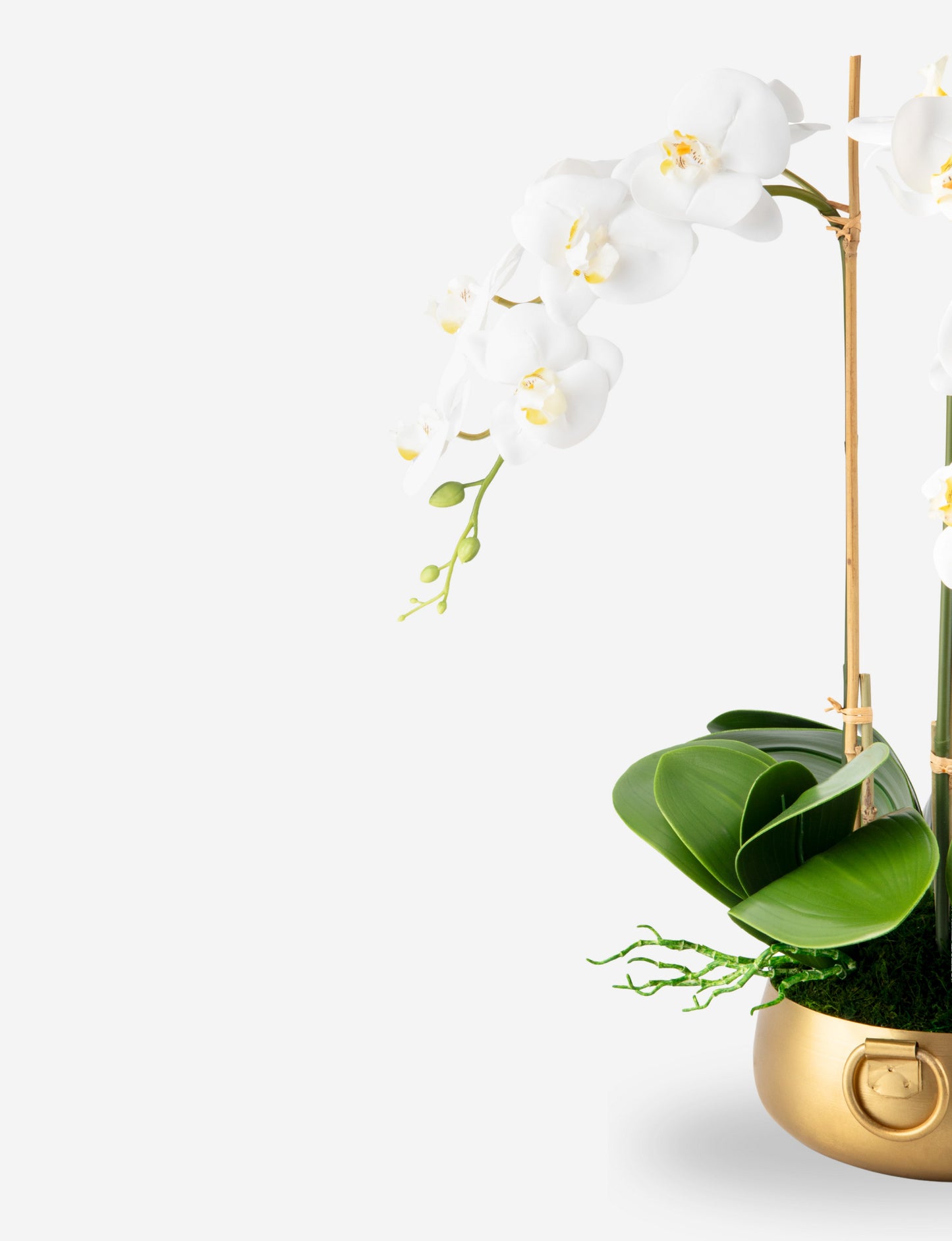 Wynn RealTouch Orchid Arrangement