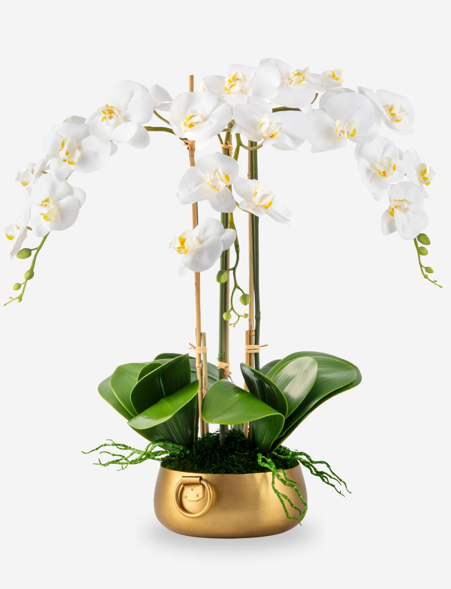 Wynn RealTouch Orchid Arrangement