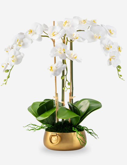 Wynn RealTouch Orchid Arrangement