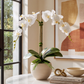 Cassandra RealTouch Orchid Arrangement