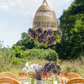 Leonora Rattan Garden Chandelier