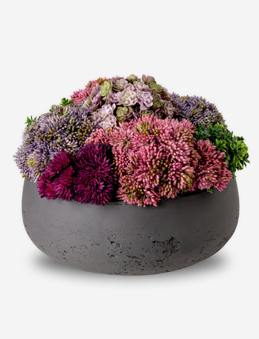 Georgina Sedum Arrangement