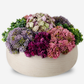 Georgina Sedum Arrangement