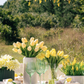 Emeline RealTouch Tulip Arrangement