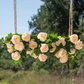 Sorella RealTouch Garden Chandelier