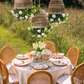 Meliora Rattan Garden Chandelier