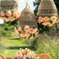 Leonora Rattan Garden Chandelier
