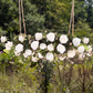 Rosalie RealTouch Garden Chandelier