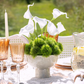 Plato RealTouch Calla Lilly Arrangement