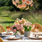 Leonora Rattan Garden Chandelier