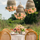 Leonora Rattan Garden Chandelier