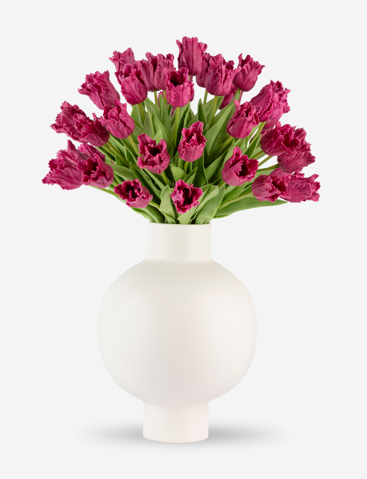 Lucia RealTouch Parrot Tulip Bundle