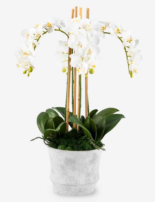 Celeste RealTouch Orchid Arrangement