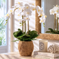 Manorca RealTouch Orchid Arrangement