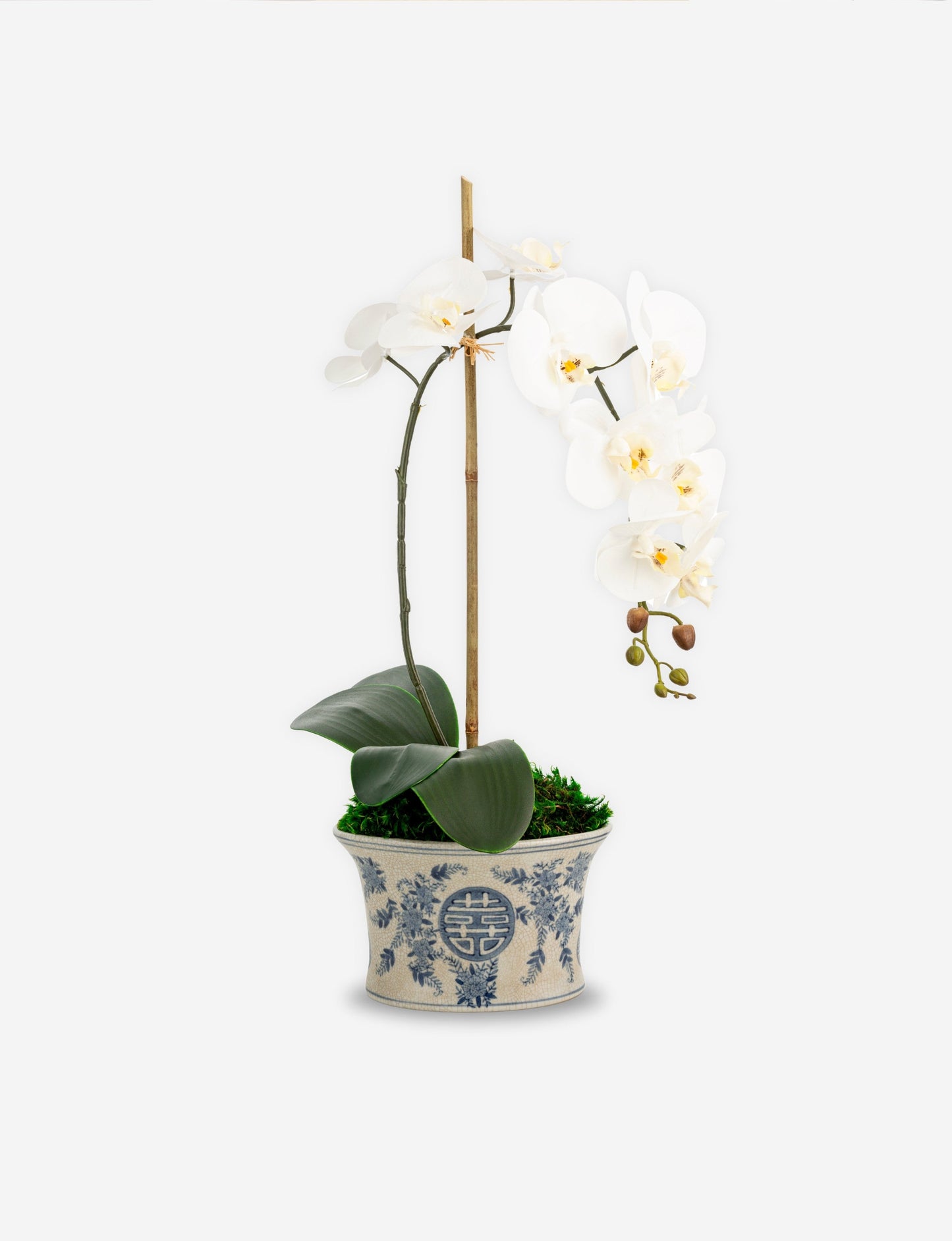 Trina Toile Orchid