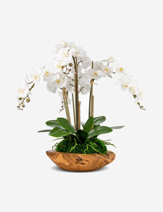 Phoenix Orchid Bowl