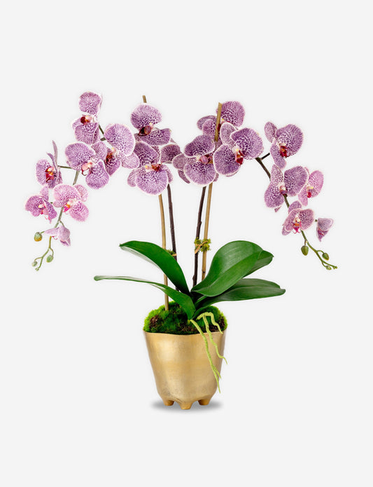Rowan RealTouch Orchid